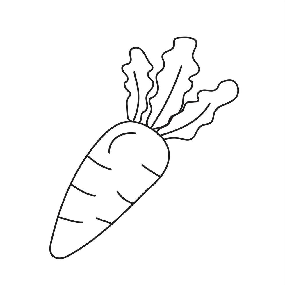 Carrot free hand drawing for designing vector