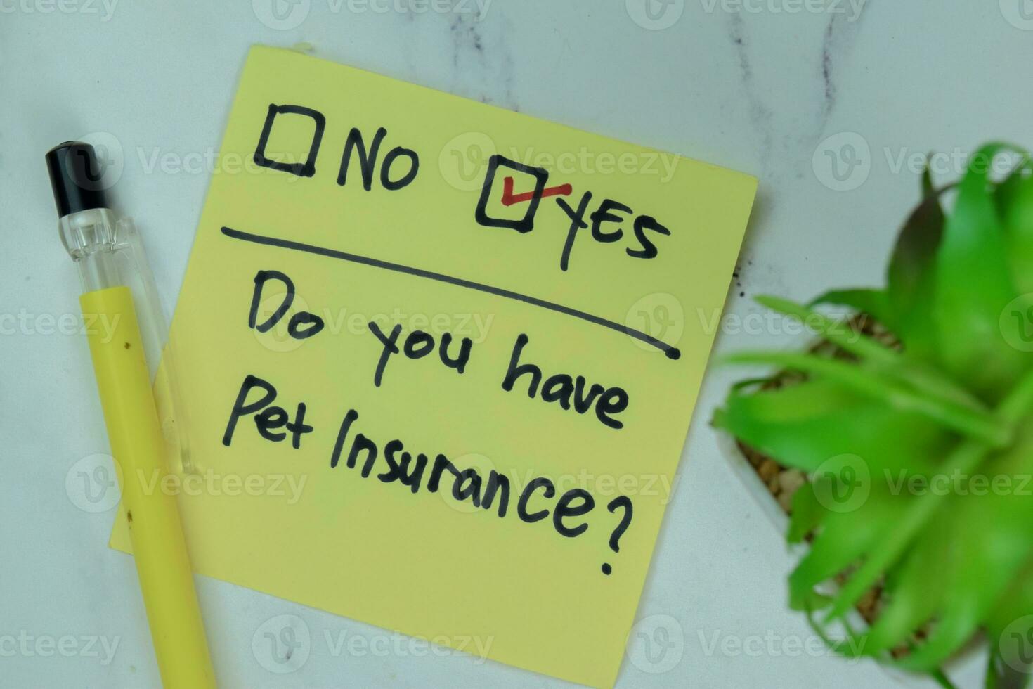 Concept of Do you have pet insurance He choose Yes write on a book isolated on Wooden Table. photo