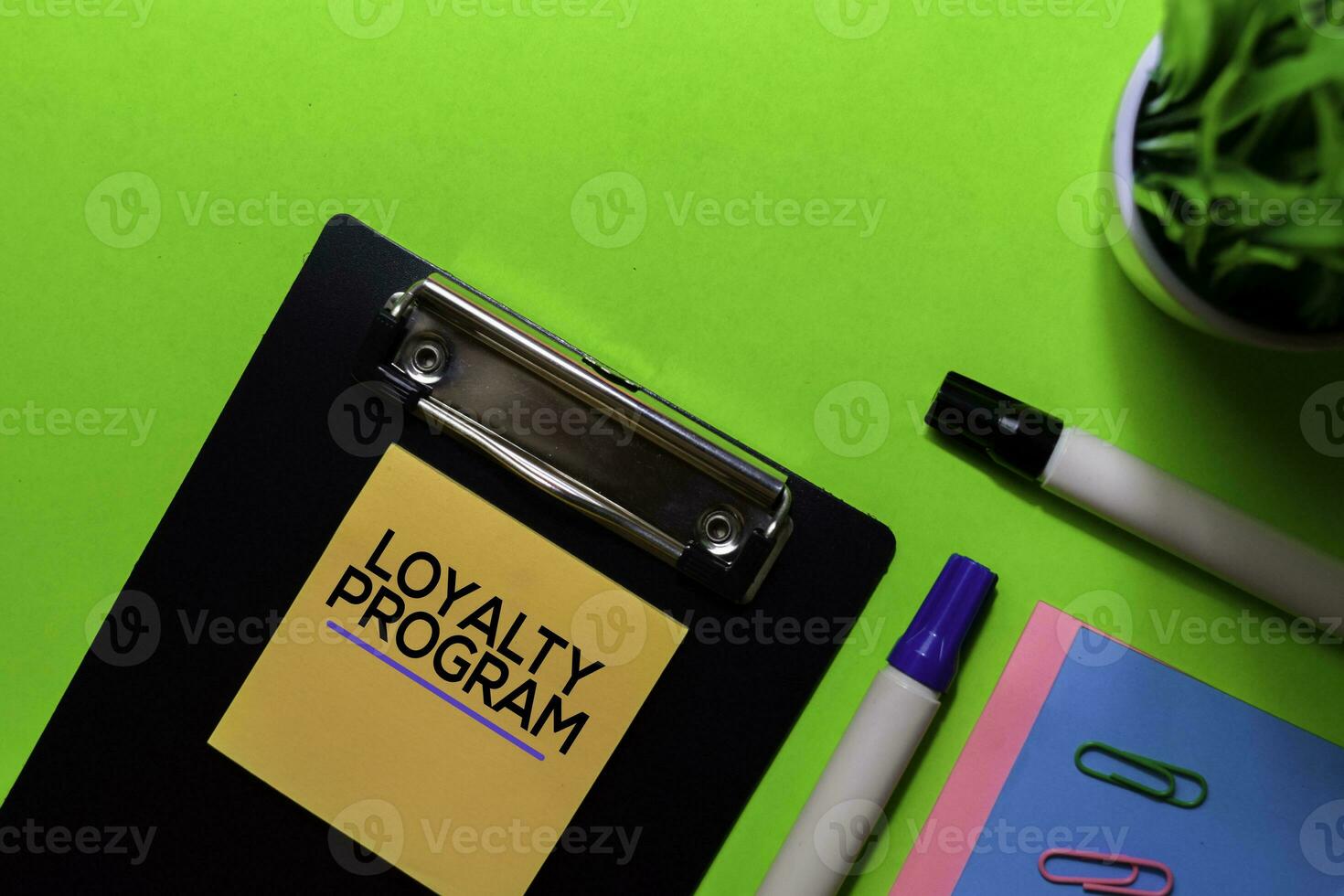 Loyalty Program write on sticky notes. Isolated on green table background photo