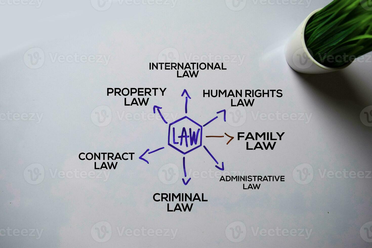 Law text with keywords isolated on white board background. Chart or mechanism concept. photo