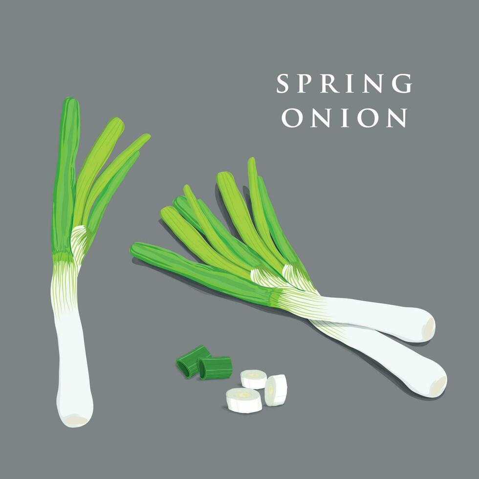 vector drawing 3d green onion