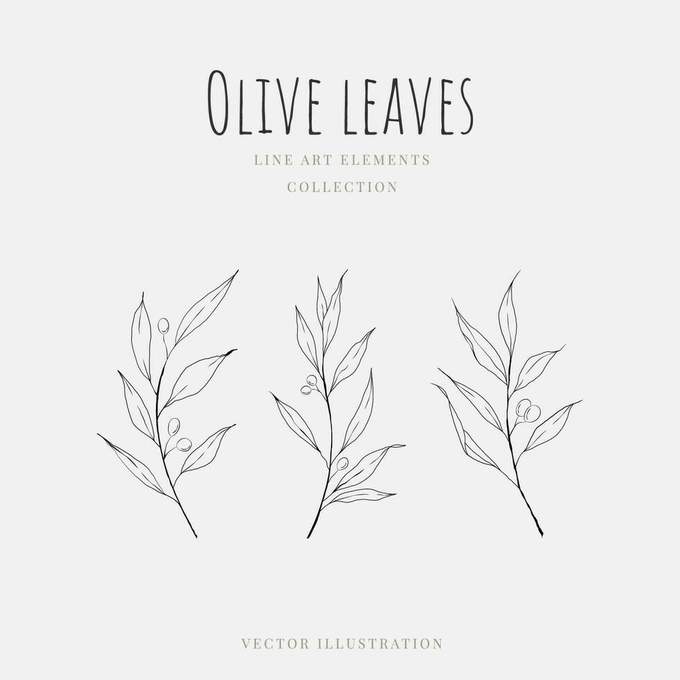 Line art olive leaves hand drawn element isolated on white background. Vector illustration