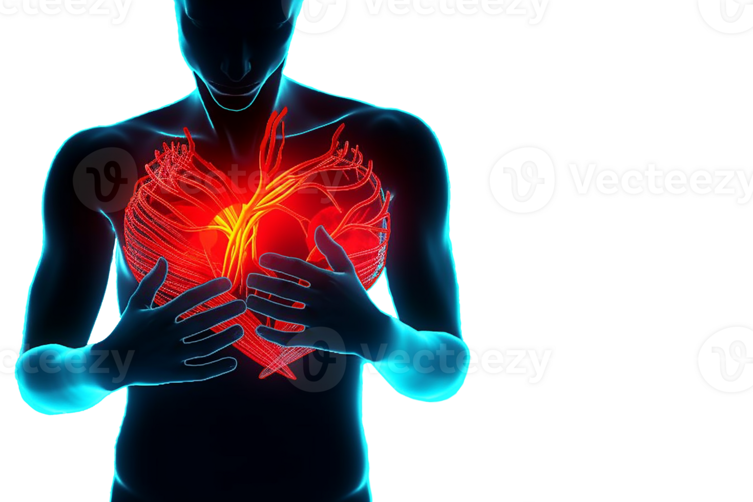 Pain in the heart, a person is holding on to the heart in his chest. png