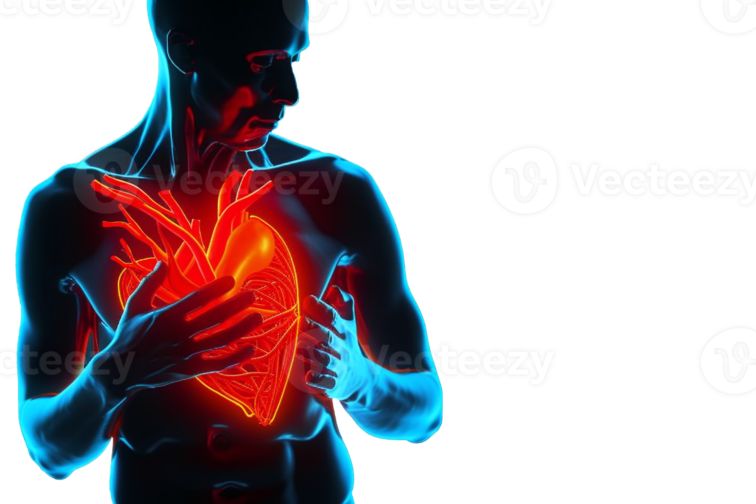 Pain in the heart, a person is holding on to the heart in his chest. png