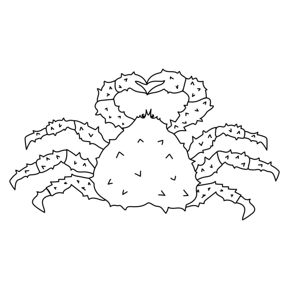 Outline illustration of King crab vector