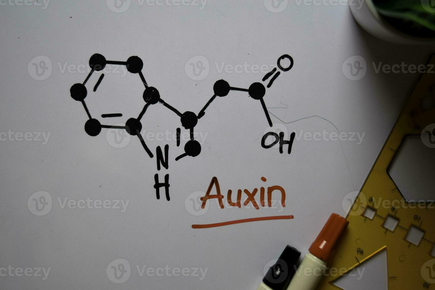 auxina molécula escribir en el blanco tablero. estructural químico fórmula. educación concepto foto