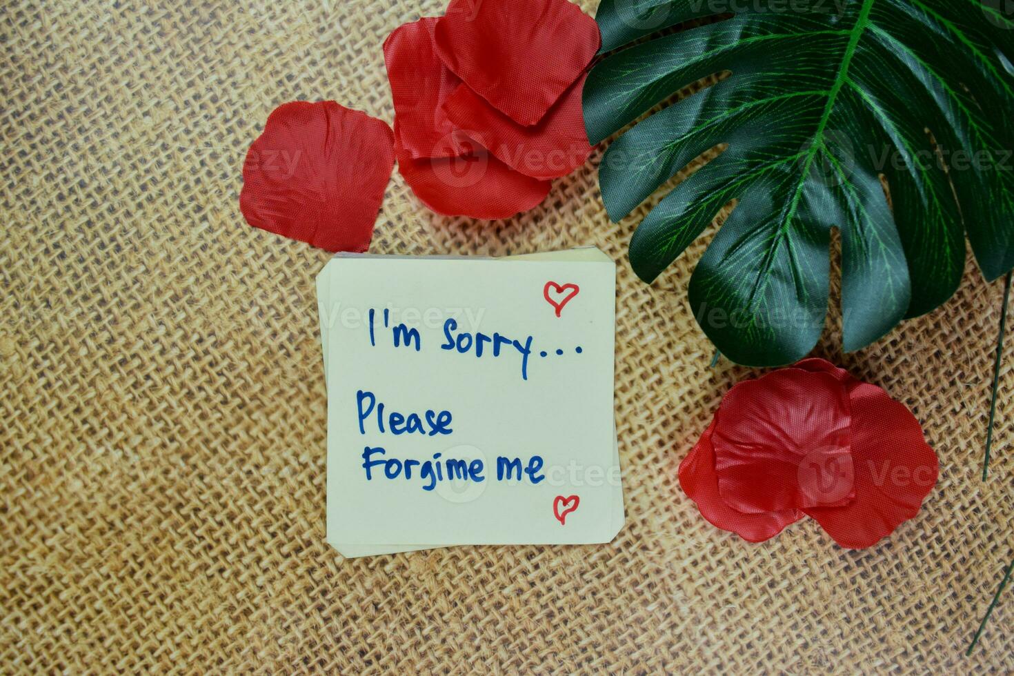 I'm Sorry. Please Forgive Me write on sticky notes isolated on Wooden Table. photo