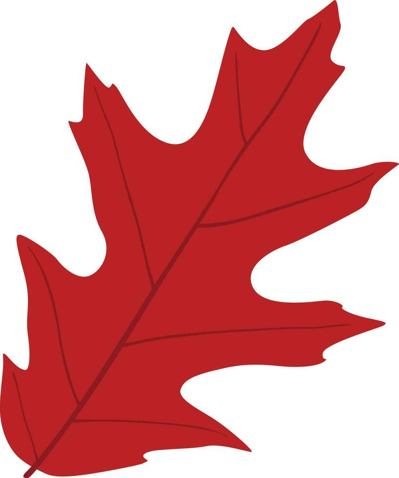 autumn red leaf vector