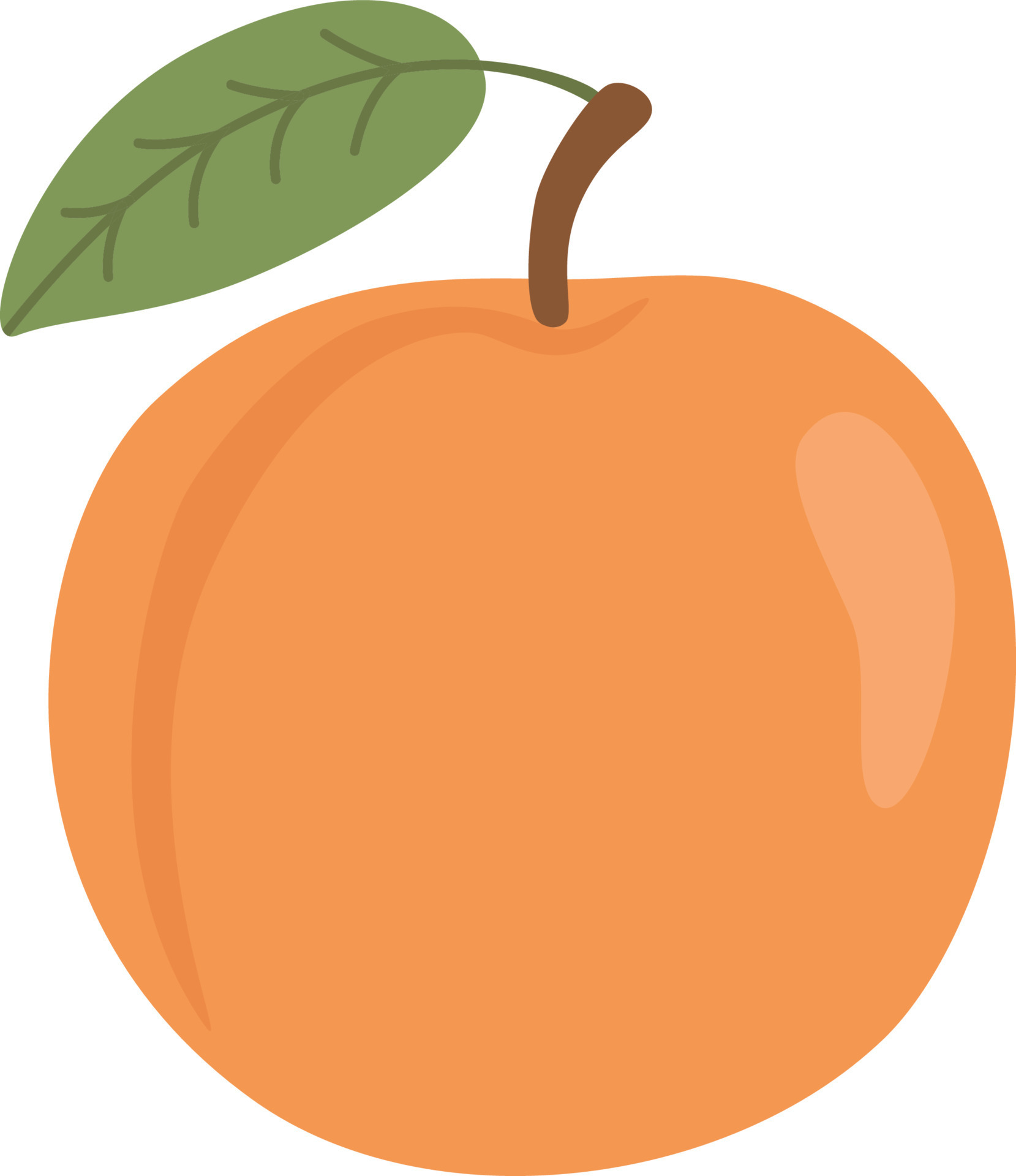 peach fruit illustration 23675628 Vector Art at Vecteezy