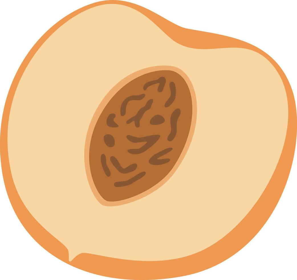 slice of peach vector