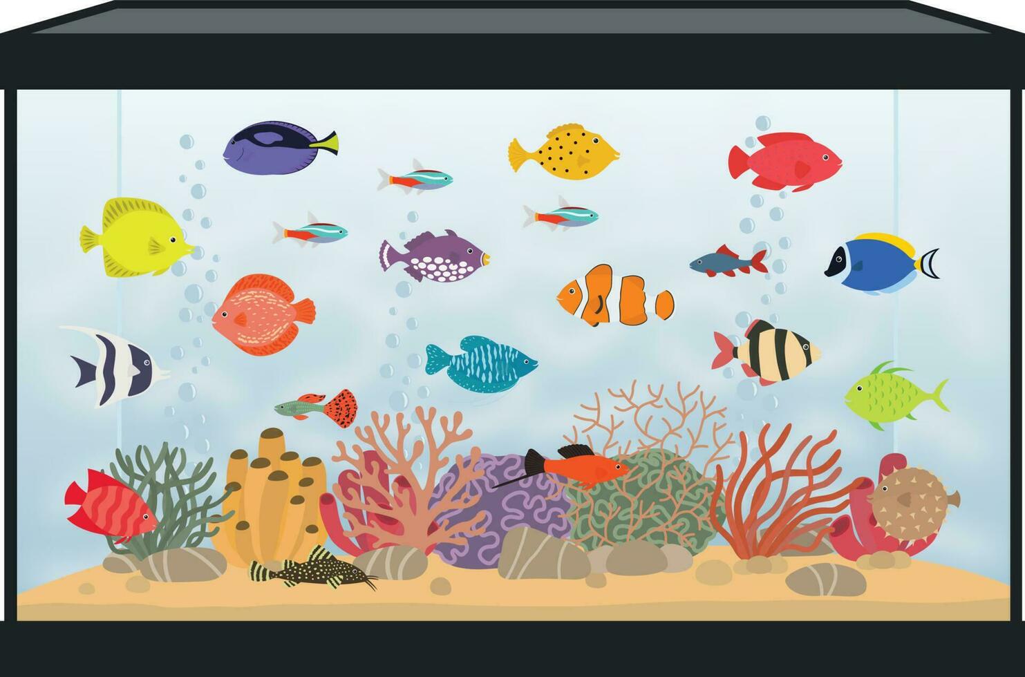 Aquarium with colorful fish vector