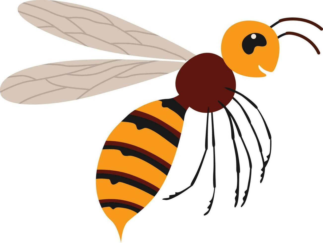 Insect hornet illustration vector