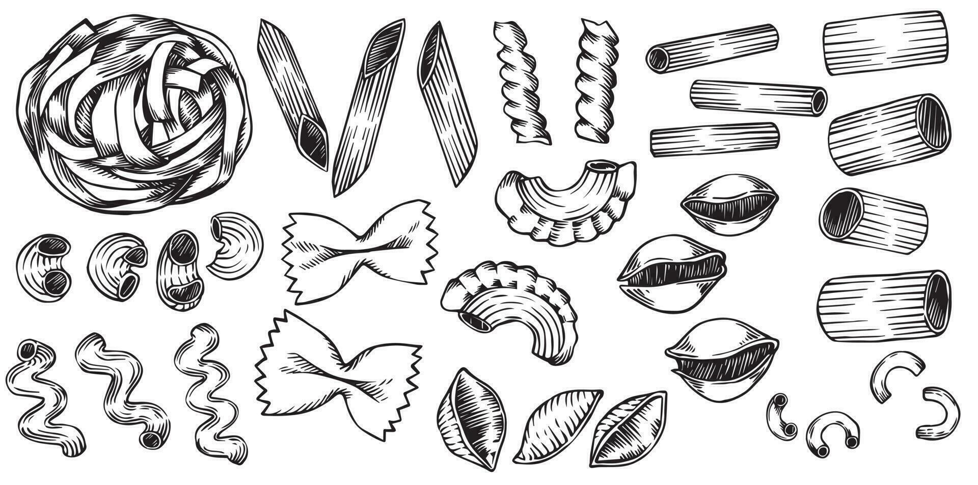 vector drawing in sketch style. vintage set of types of pasta. italian food, pasta