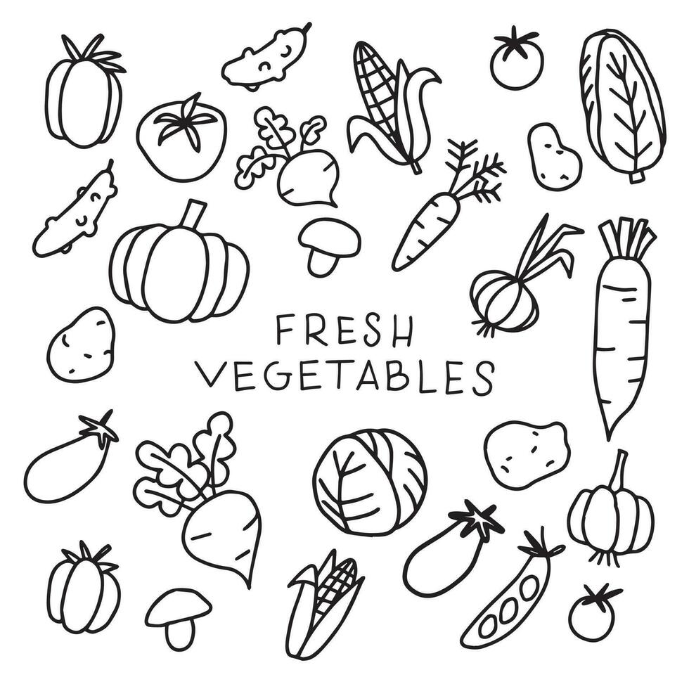 vector drawing in doodle style. set of vegetables. funny drawings in children's style