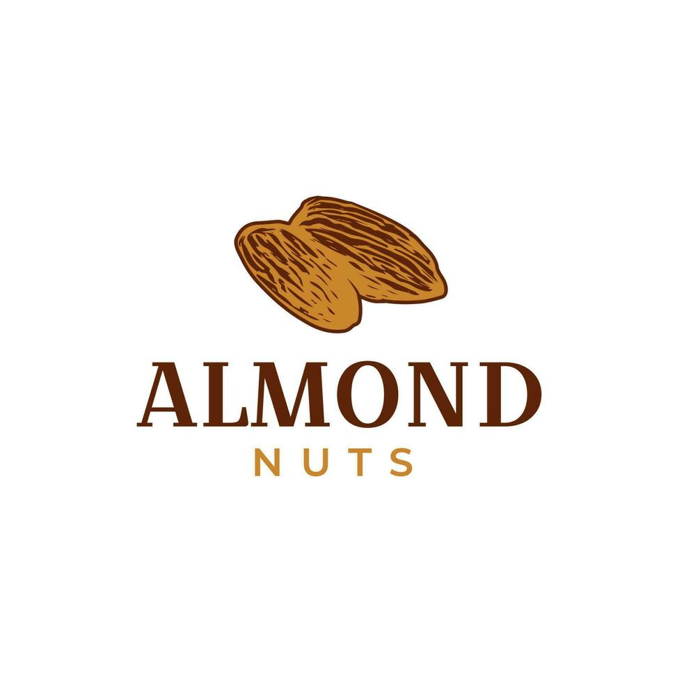 Creative almond nuts logo design hipster vintage vector illustration