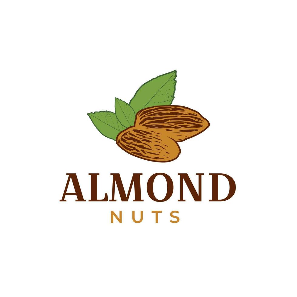 Creative almond nuts logo design hipster vintage vector illustration