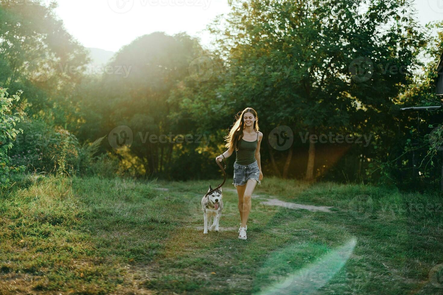 A woman runs with a dog in the forest during an evening walk in the forest at sunset in autumn. Lifestyle sports training with your beloved dog photo