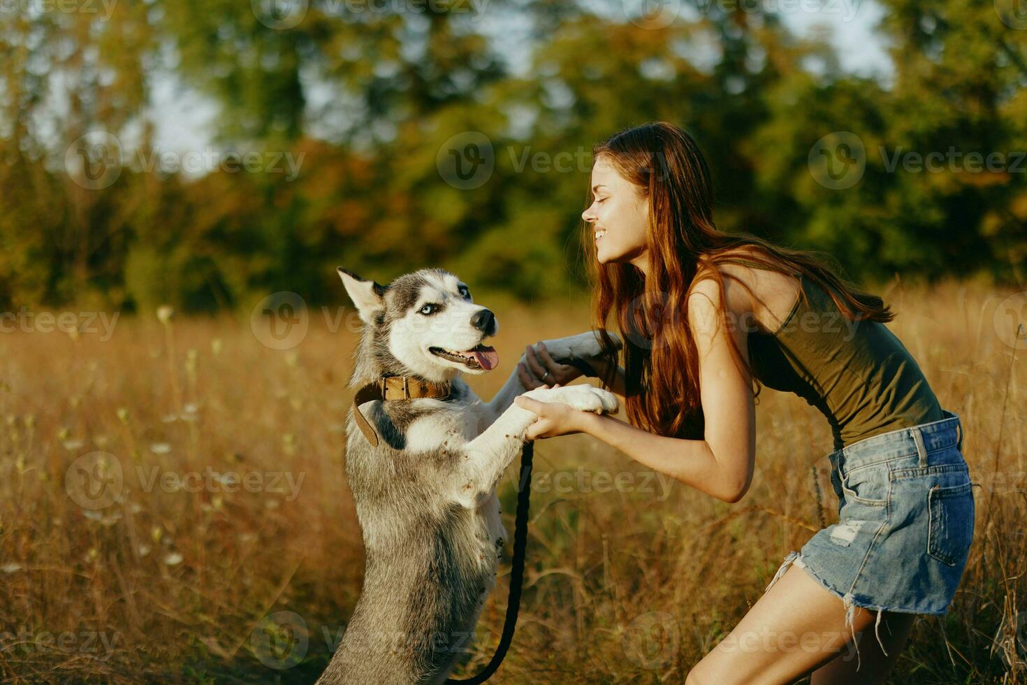 A slender woman plays and dances with a husky breed dog in nature in autumn on a field of grass and smiles at a good evening in the setting sun photo