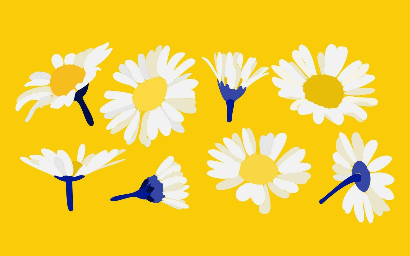 Vector chamomile on a yellow background. Decorative flower illustration in hand drawing style.