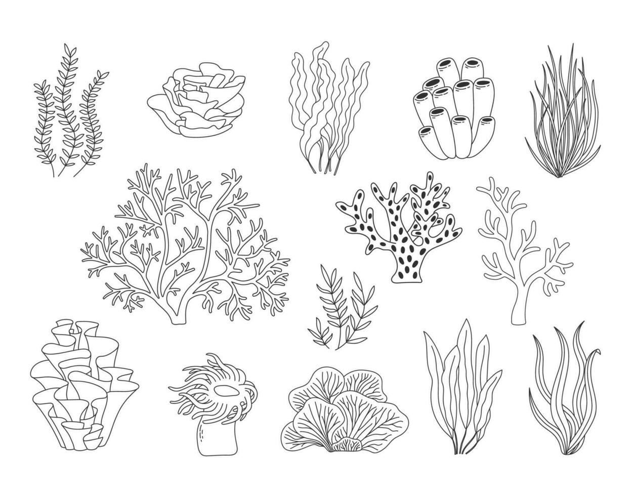 Trendy coral reef vector collection. Underwater ocean plants line icon set. Aquarium algae, laminaria, kelp water life isolated on white background.