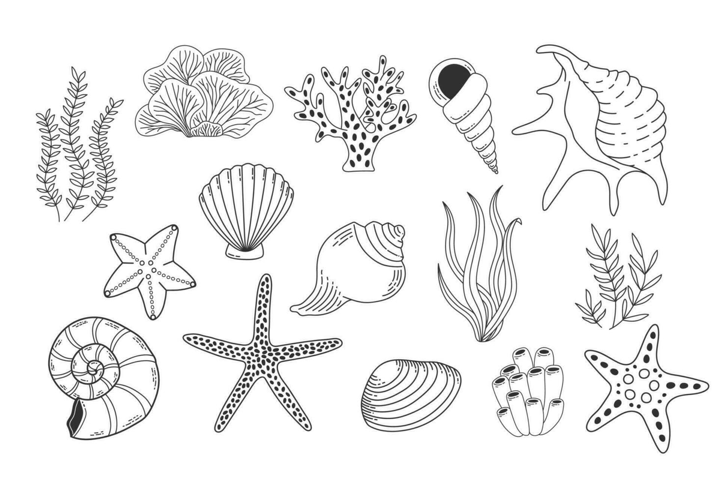 Shells, sea plants and starfish isolated on white background. Coral reef vector illustration. Collection of clam mollusc linear icons. Ocean life outline set