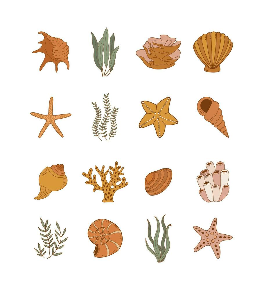 Shells, sea plants and starfish isolated on white background. Coral reef vector illustration. Collection of clam mollusc linear icons. Ocean life in flat style