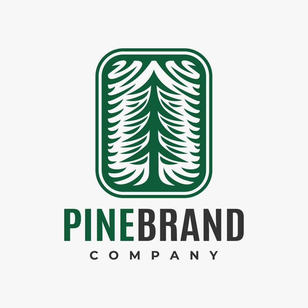 Illustrative pine tree logo design branding. Square spruce cedar plant logo. vector