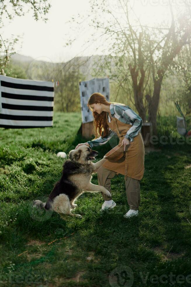 Woman stroking her big furry dog on. farm in the countryside against a backdrop of clean laundry on a rope photo