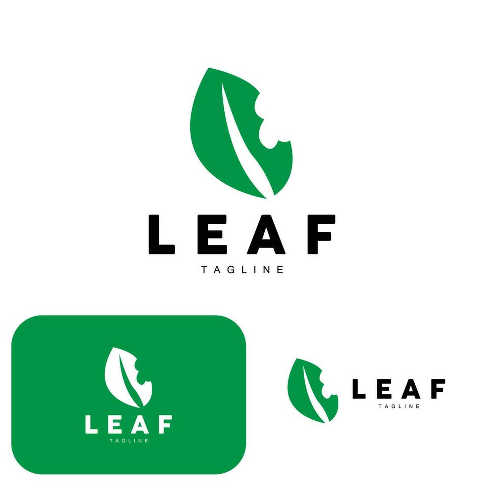 verde hoja logo, ecología natural planta vector, naturaleza diseño, ilustración modelo icono vector
