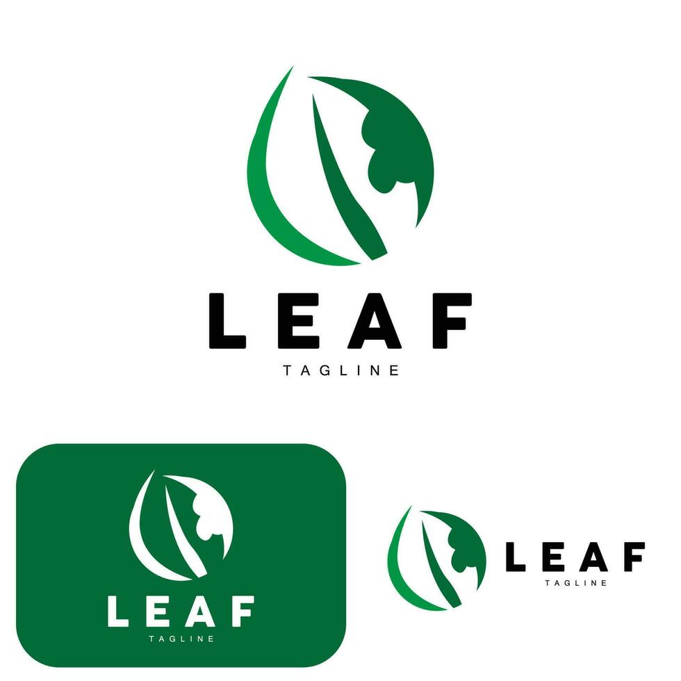 Green Leaf Logo, Ecology Natural Plant Vector, Nature Design, Illustration Template Icon vector