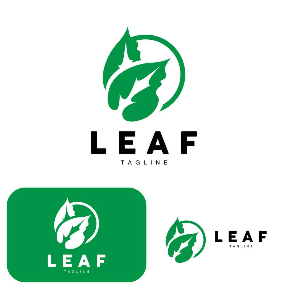 Green Leaf Logo, Ecology Natural Plant Vector, Nature Design, Illustration Template Icon vector