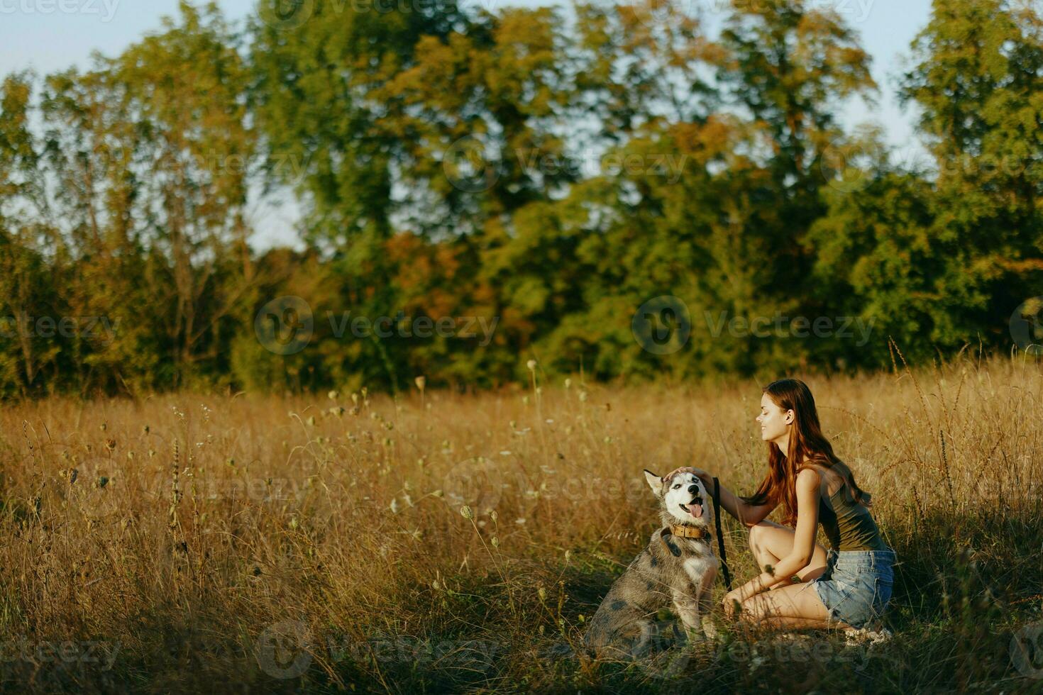 A woman plays and dances with a husky breed dog in nature in autumn on a grass field, training and training a young dog photo