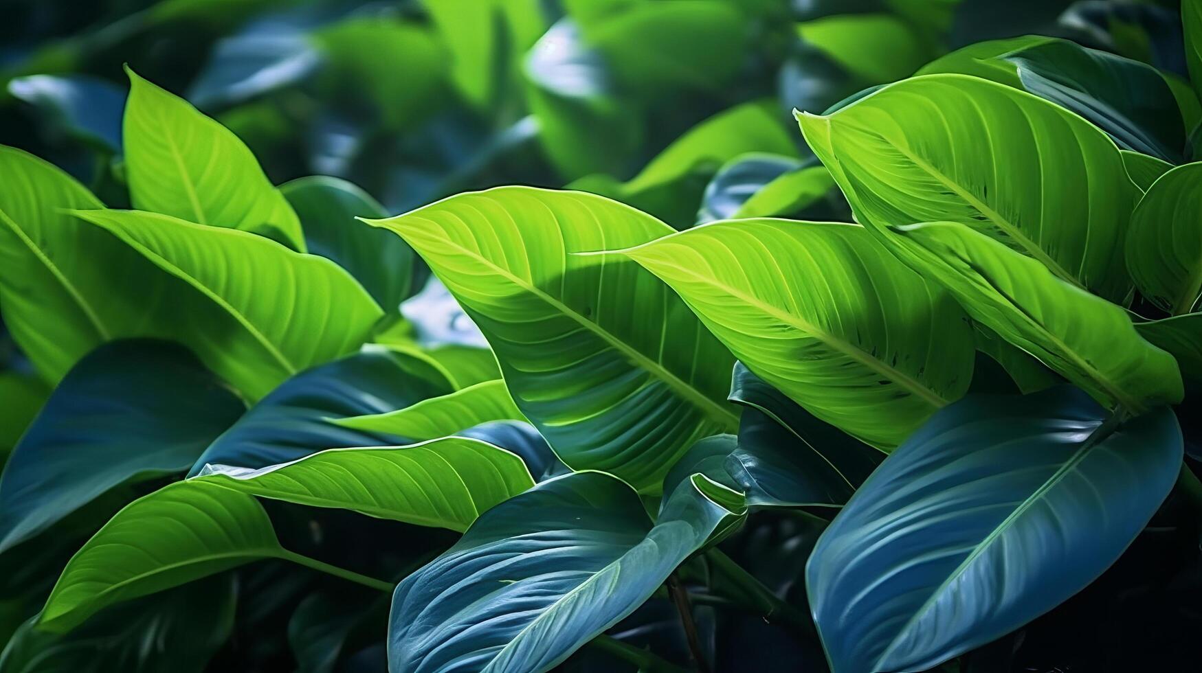Tropical leaves background. Illustration photo