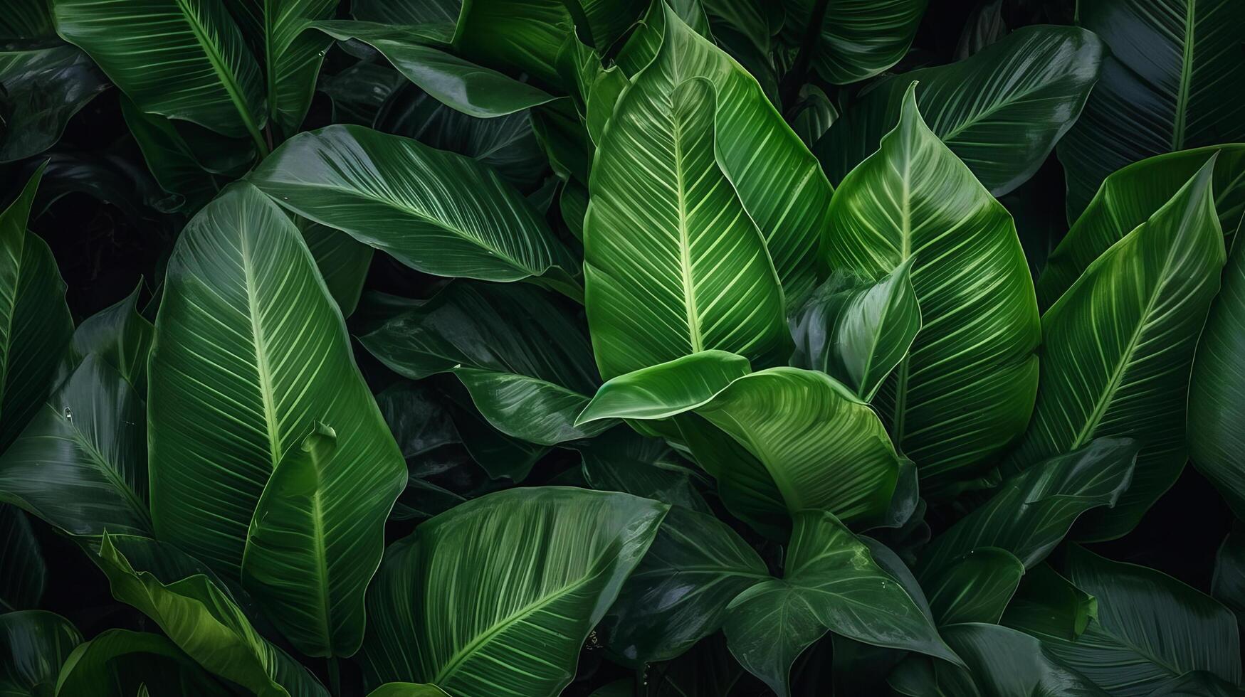 Tropical leaves background. Illustration photo