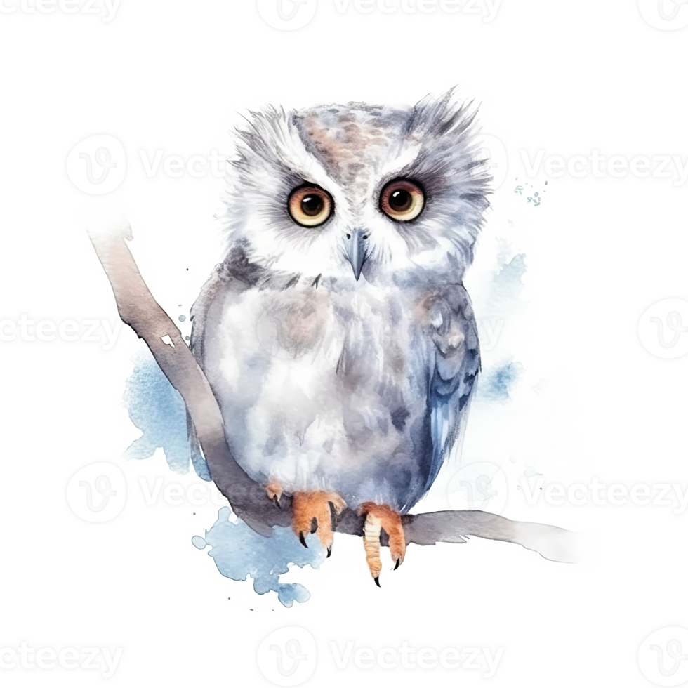 Cute watercolor owl. Illustration png