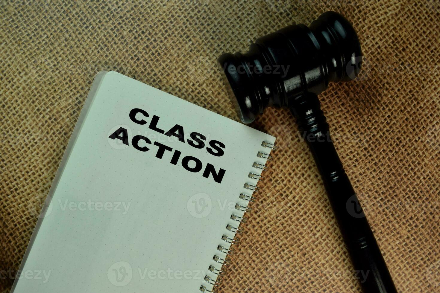 The Book of Class Action on office desk. and gavel photo