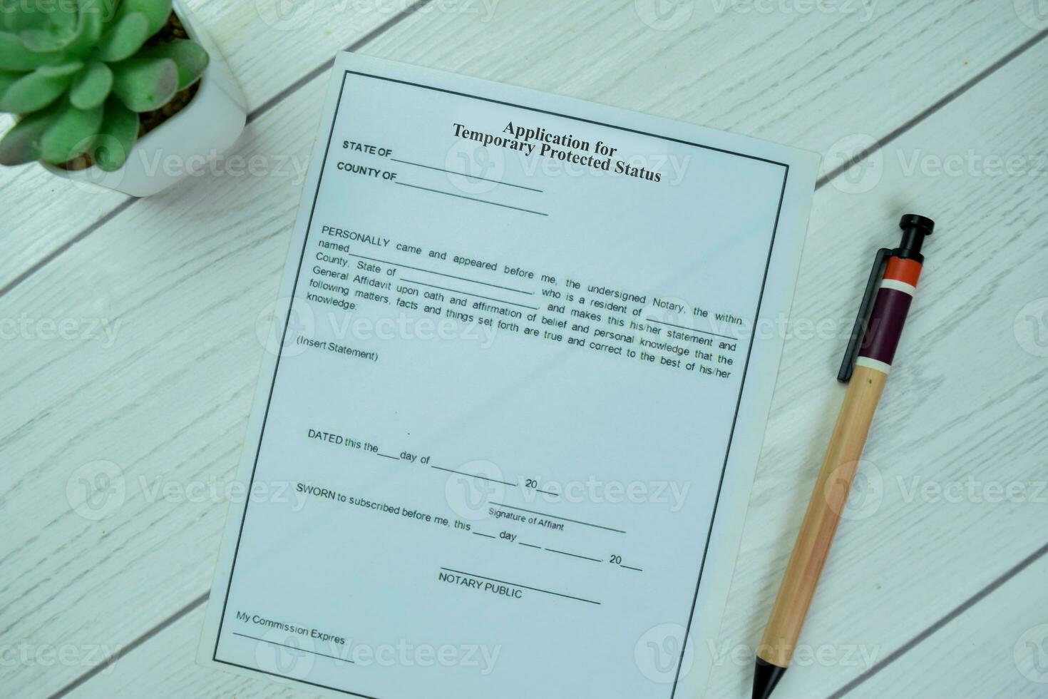 Concept of Application for Temporary Protected Status isolated on Wooden Table. photo