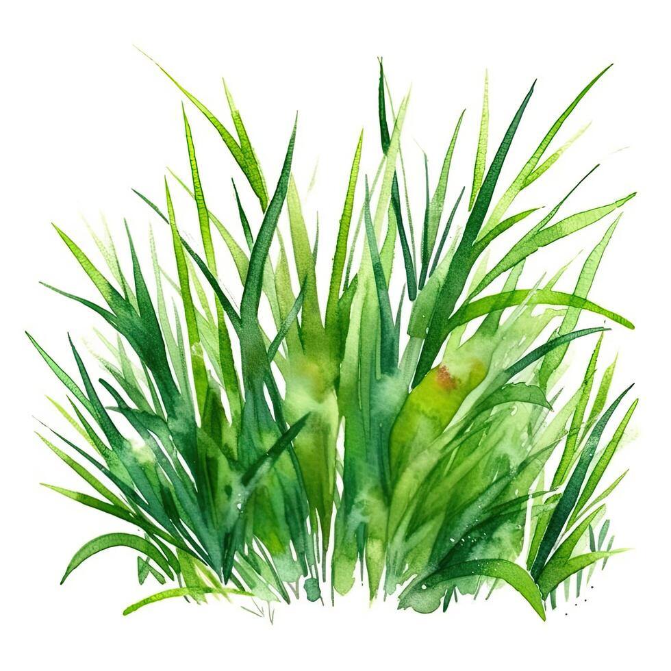 Watercolor green grass. Illustration photo