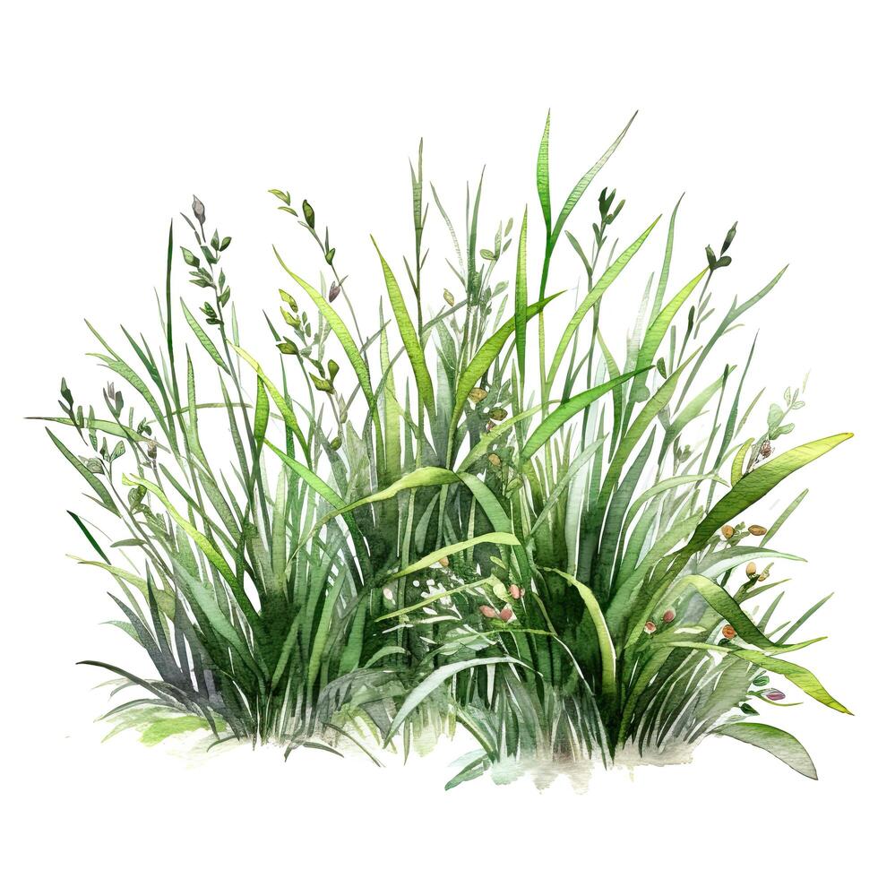 Watercolor green grass. Illustration photo