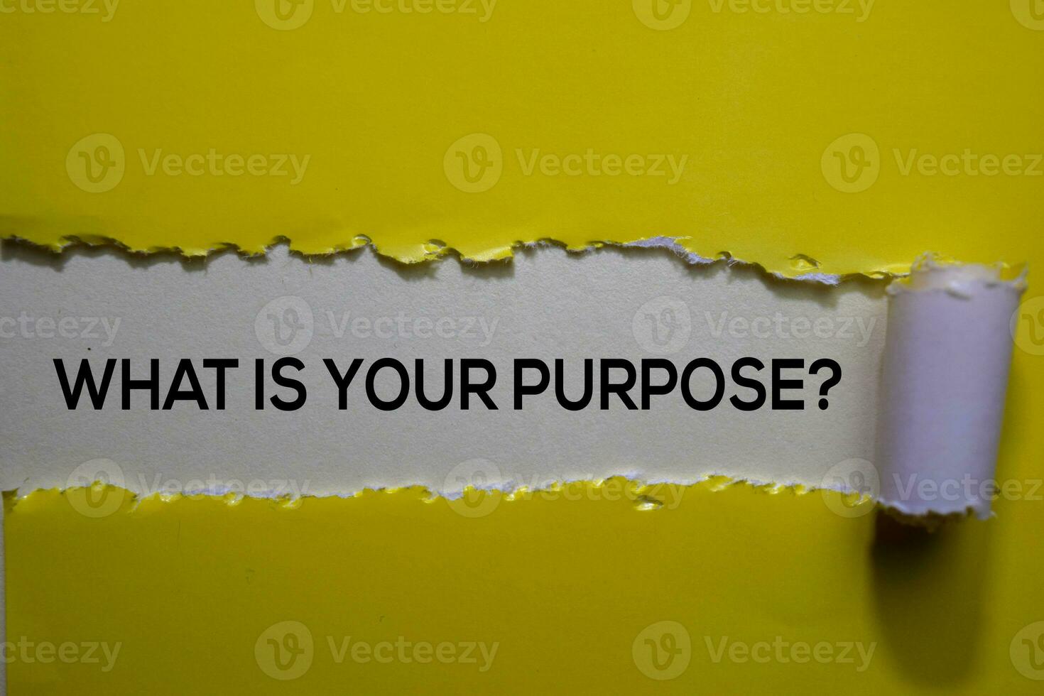 What Is Your Purpose Text written in torn paper photo