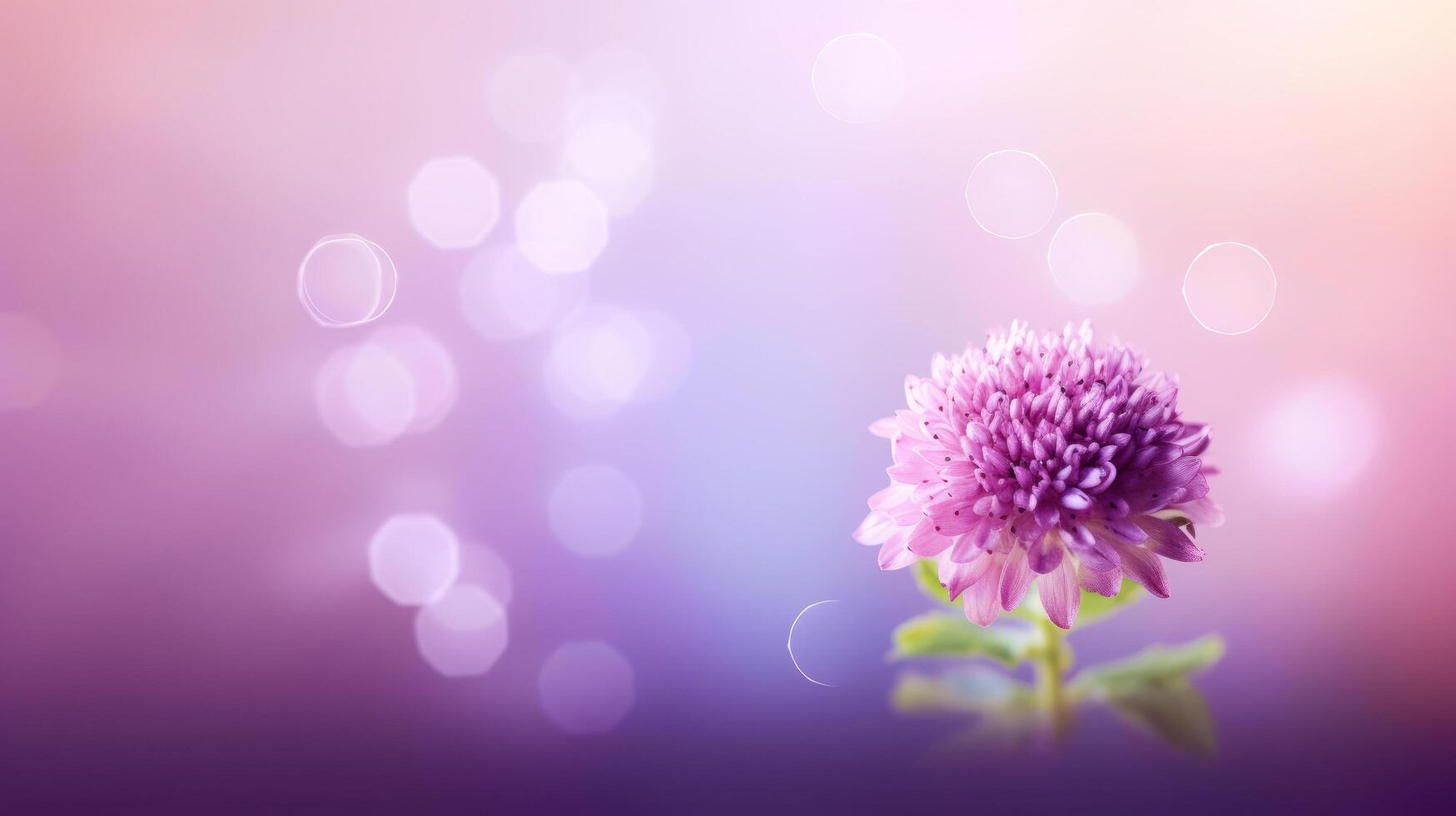 Lilac flower bokeh background. Illustration photo