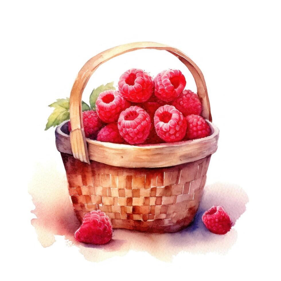 Watercolor raspberries in basket. Illustration photo