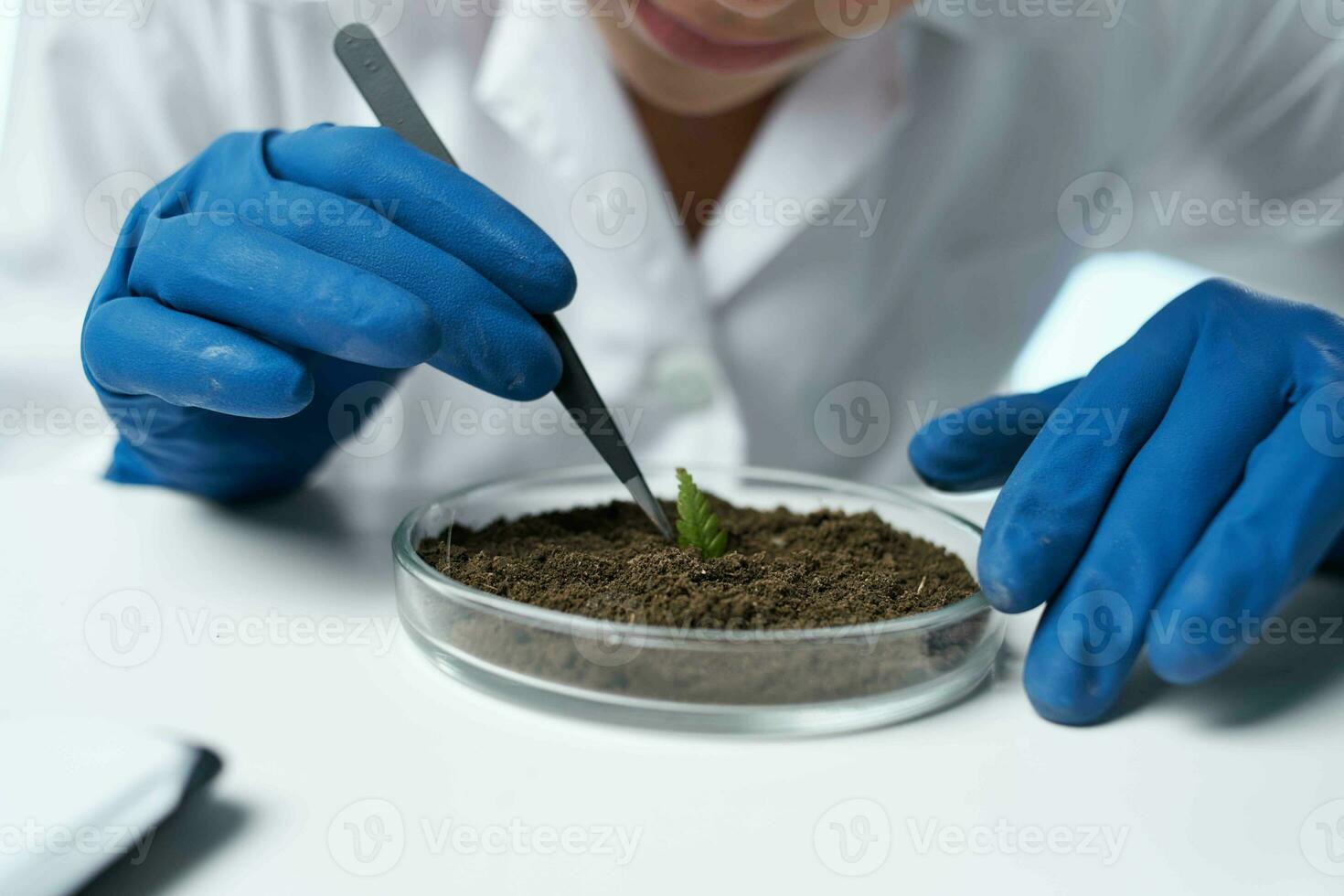 mujer científico biólogo laboratorio investigación plantas foto