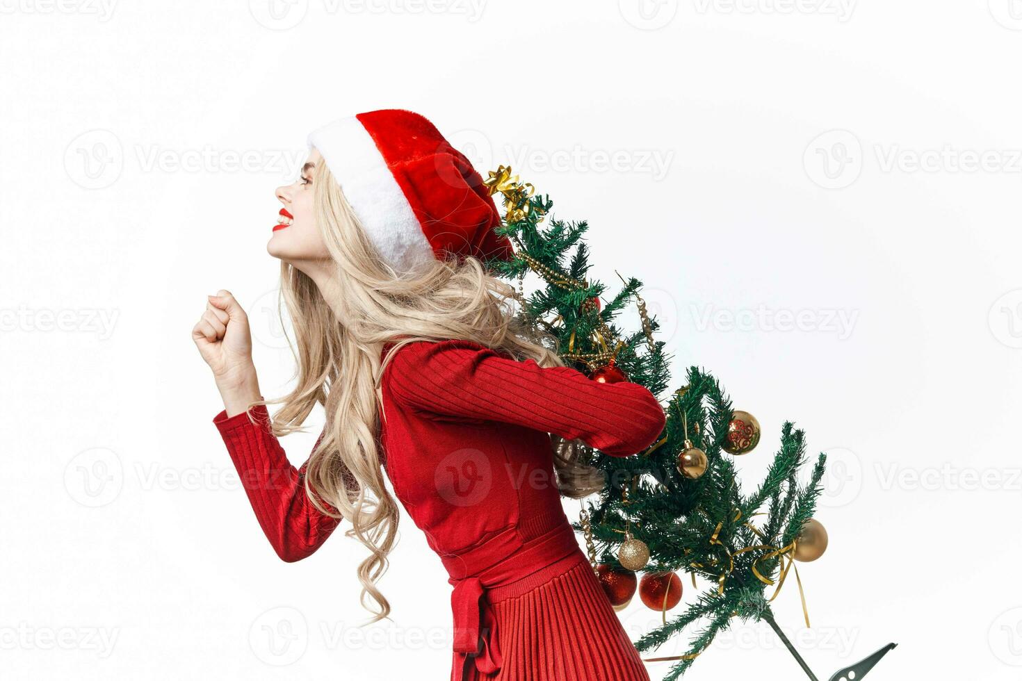 woman wearing santa costume decoration holiday christmas fun photo