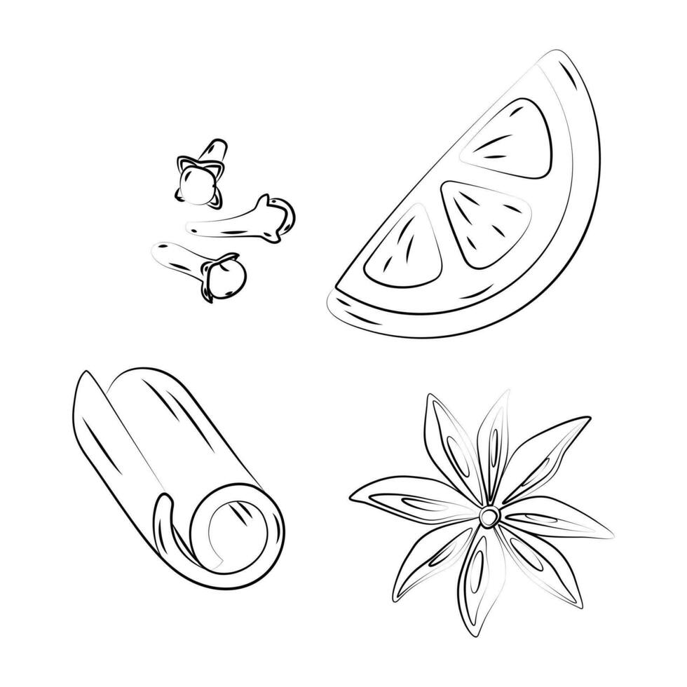 Set of outline drawing of citrus slice, glows, cinnamon and Star anise with seeds. Happy spices day vector