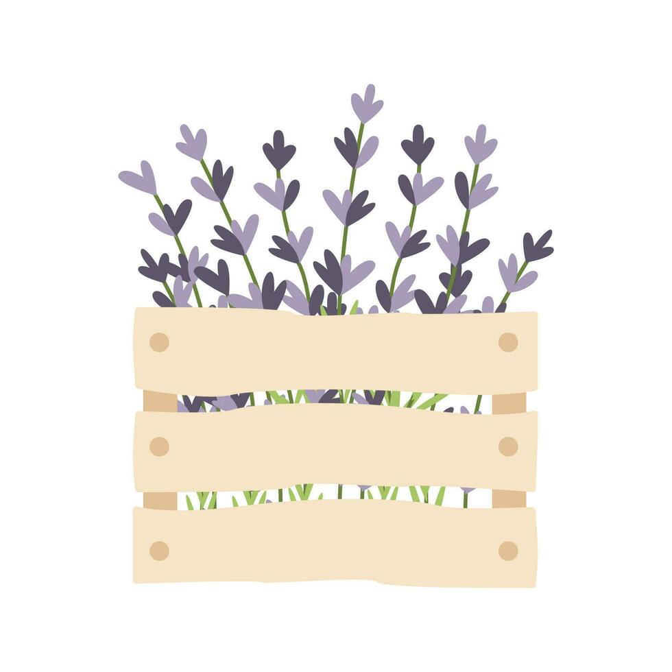 Wooden box with hand drawn lavender flowers. Vector illustration. Simple flat style.