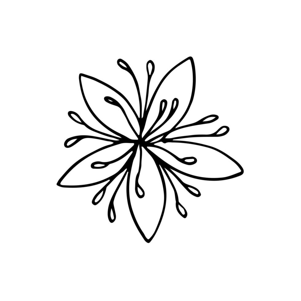 Poppies flowers continuous line drawing. Editable line. Black and white art. illustration. vector