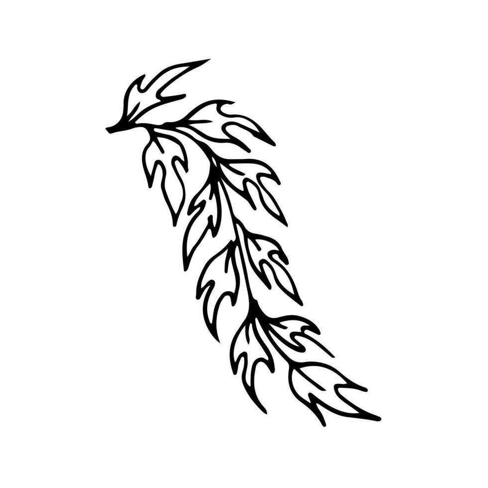 Botanical seamless pattern, hand drawn, line art leaves, illustration, vector on white