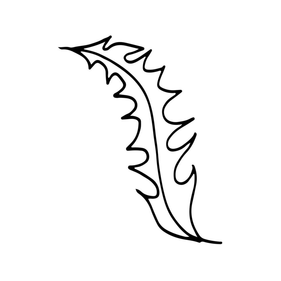 botánico sin costura patrón, mano dibujado, línea Arte hojas, ilustración, vector en blanco