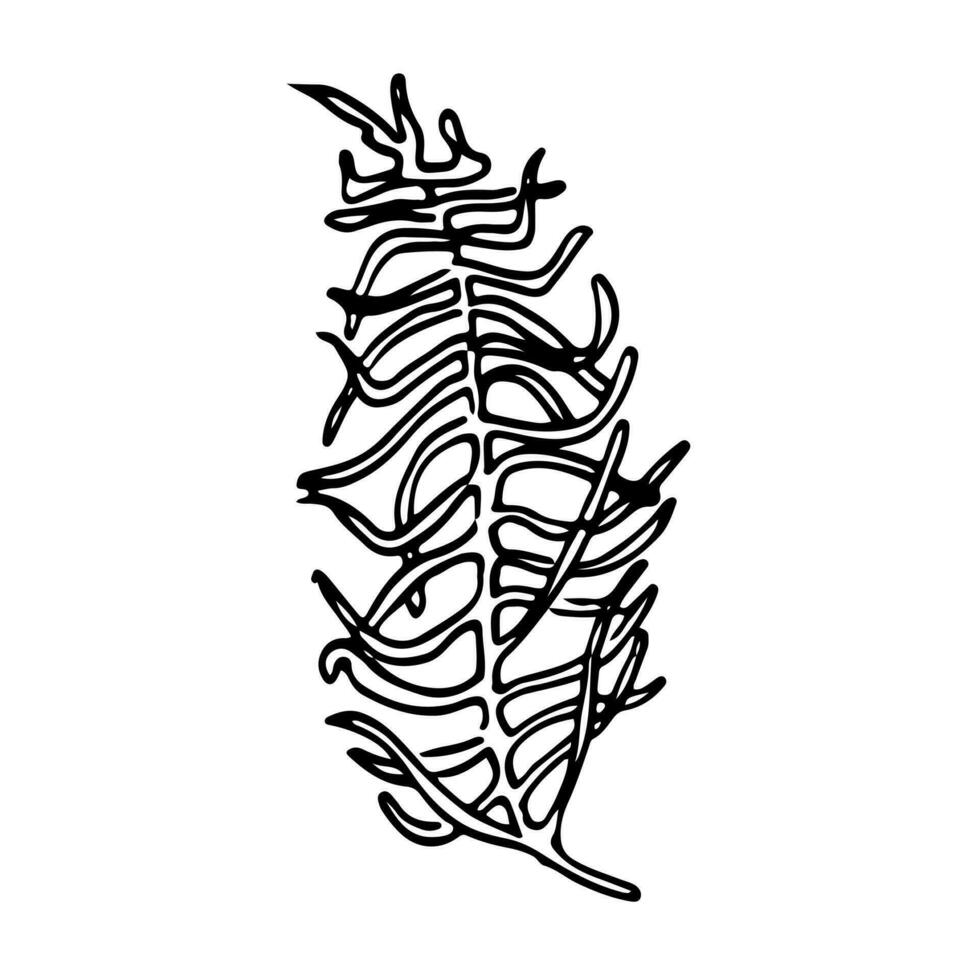 Botanical seamless pattern, hand drawn, line art leaves, illustration, vector on white